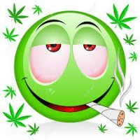 Прикольные и смешные картинки