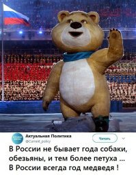 Возрождение - Парящий орел символ 2019 года! Что принесет год Парящего орла?