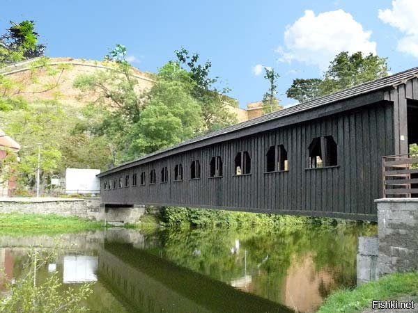 вот целый из дерева.
Только ж конструкция какая..