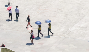 Нашел еще двойняшек