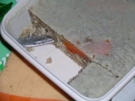 мне мамик контейнер холодца подогнал вчерась. седня поржал беззлобно, старенькая стала совсем