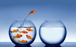 Место подчиненных второй год подряд выхожу в смену на Новый год.
Типа они молодые, маленькие дети (типа думаю о подчиненных и т.п.).
В реальности, - Интроверт Мизантропович.