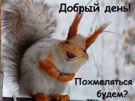 Неутешительные итоги встречи Нового года 2019