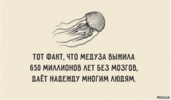 Звезды любят оставлять комменты в Instagram не меньше вашего, да и покруче уж точно