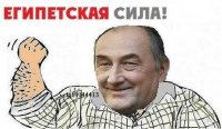 Прикольные и смешные картинки