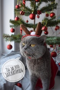 Неутешительные итоги встречи Нового года 2019
