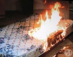 Двух мигрантов зашили в матрасы, чтобы переправить в Европу