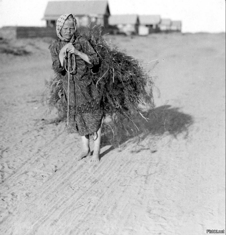 А где такие фотографии?