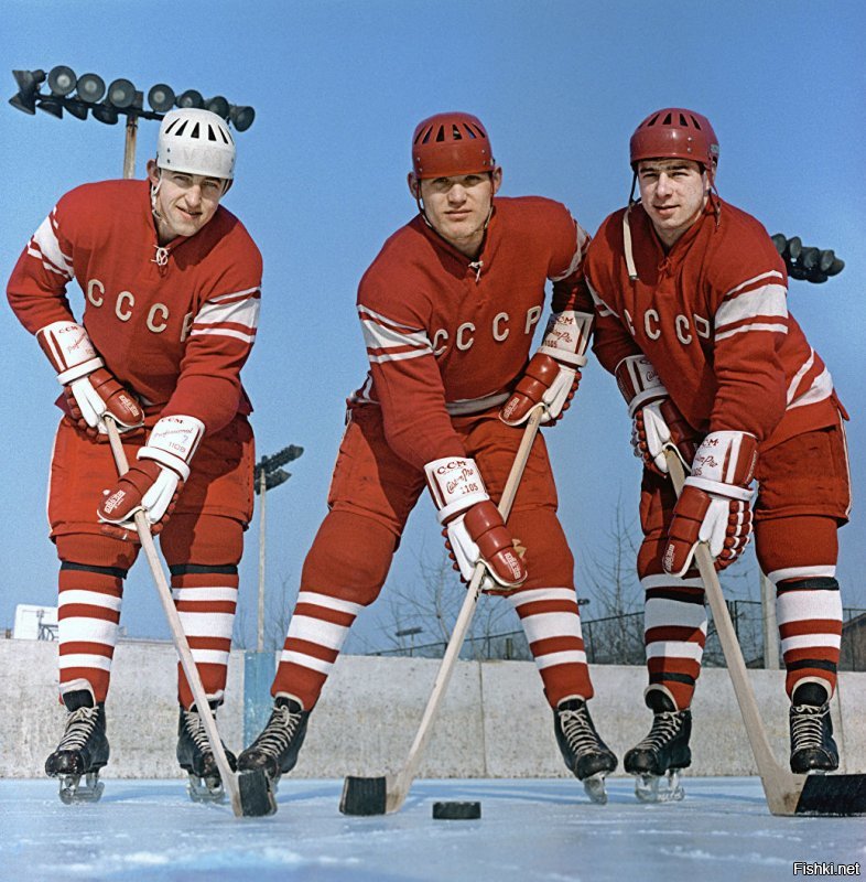 Микайла Демайтер - одна из самых привлекательных вратарей в мире