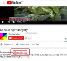 О, свежачок подогнали!