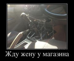Прикольные и смешные картинки