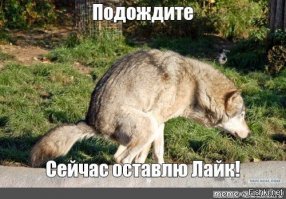 Вассерман высказался о своём участии в клипе Бузовой