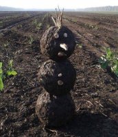 Свежая подборка демотиваторов, которые поднимут вам настроение