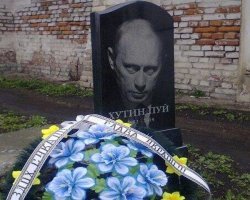 Вот где будет самое его лучшее фото!
