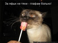 "В 17, блин, лет, сосать Чупа -Чупс?"
---------------------------
А чём криминал? Это же не соска. 
Или у "Чупа-Чупса" есть возрастные ограничения?