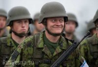 Прибалтийские львы на параде