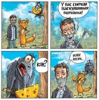18 фотографий невозможно милых лис