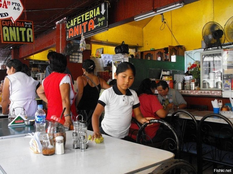 вот Вам малая толика из семейного альбома Чили: