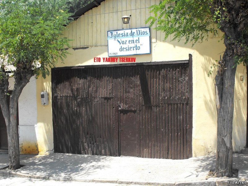 вот Вам малая толика из семейного альбома Чили: