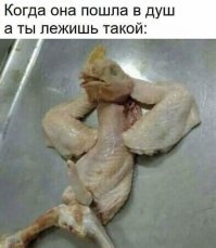 Смешные картинки с надписями