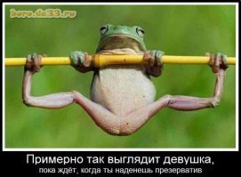 Смешные картинки с надписями