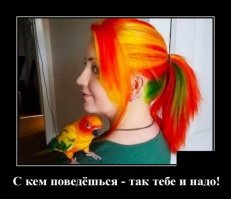 Пестрый мир пернатых
