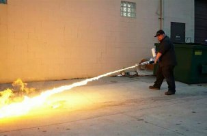 Фотограф решил потрогать бочок волосатого зверька, и лучше бы он это не делал!