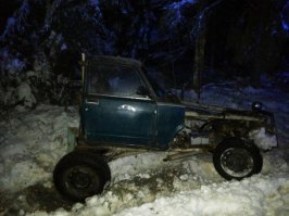 Автовсячина