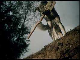 Прикольные и смешные картинки