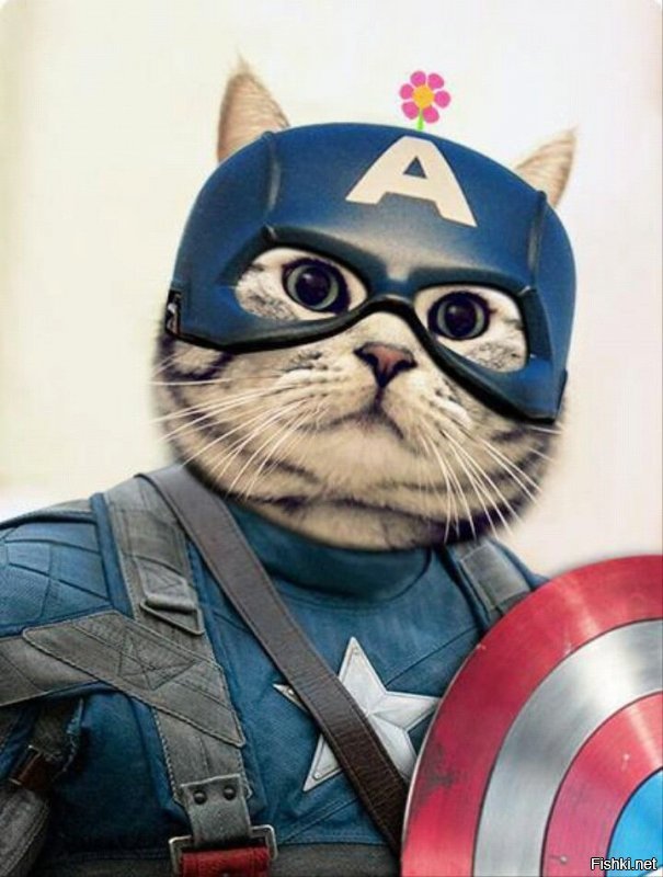Художник изображает кошек в образах супергероев Marvel и DC Comics