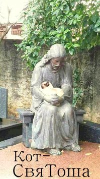 Для чего нужен интернет? Чтобы делиться фотками котиков!