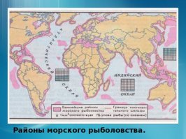 Рыба в товарных количествах водится преимущественно в прибрежных районах, на шельфе, с глубинами до 20-30 метров. Рыболовные зоны занимают всего лишь 7,5 % площади Мирового океана. В открытом океане на глубинах в километры промысловой рыбе просто жрать нечего. А глубоководных тварей никакими тралами не достанешь.