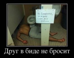 Герои, которые нестандартно использовали биде и остались этим довольны