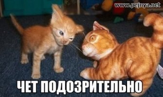 И снова работа мечты: разыскивается семейная пара для управления гостиницей и маяком