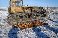 Это всё от бездуховности и отсутствия скреп.
Зато в благополучной России, где люди пережили голод, в результате которого погибли миллионы, продукты демонстративно давят тракторами, показывая это по центральным каналам, мол так выглядит борьба с Западом - купить у них продукты и уничтожить.
А сытое население, видимо от нечего делать роется в мусорных баках, хотя имеет "беспрецедентный рост зарплат". Видимо это хобби такое.