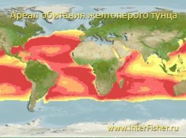Согласен - жаль, что ты поздно понял, что парусник не идет всё время на скорости "заворачивания ушей на затылок" и придумала, что рыба живет только рядом с берегом. Одна печаль, планктон и вся эко-система вокруг него об этом не знает. 


Но ты и дальше лови рыбу на удочку, в надежде, что придут такие необразованные и ленивые как ты и.... мир заживет в достатке.

Вопрос, только какой мир