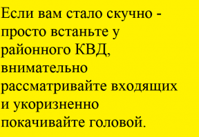 Прикольные и смешные картинки