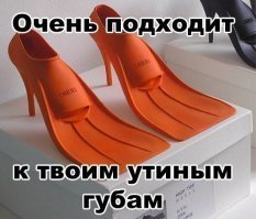 Прикольные и смешные картинки
