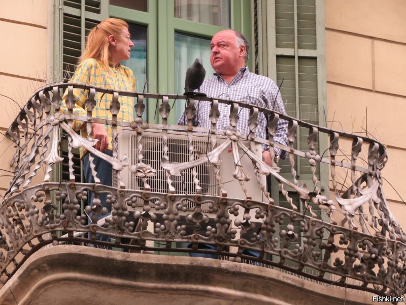 Добавлю немного  фото с горы Монжуик ( или Монтжуик, еврейская гора с древнекаталонского) и ее подножия. Без комментов.