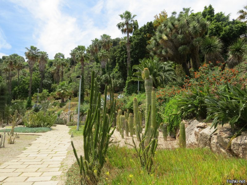 Добавлю немного  фото с горы Монжуик ( или Монтжуик, еврейская гора с древнекаталонского) и ее подножия. Без комментов.