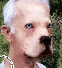 Собака + Панин.