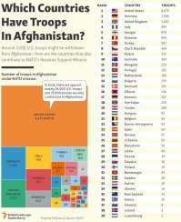 14 человек у хохлов в Афганистане служит, а ещё больше сантехниками в Польше, меня такой старт-ап не трогает.