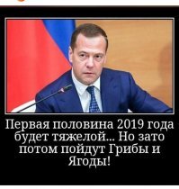 Прикольные и смешные картинки