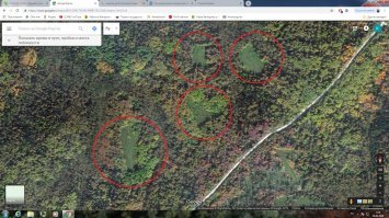 Вы смотрите район Горной Шории и Кузнецкого Алатау. Коричневое это скальник. 

На верхнем фото красными кругами я обозначил вырубку с высоты 500-1000м.
На нижнем фото та же местность с высоты 30-35 км. как и на вашем фото. Желтый круг район вырубки, красными кругами обозначены районы бывших деревень.

Я к тому что на вашем снимке с высоты 30-35 км. вырубки толком и не разглядишь