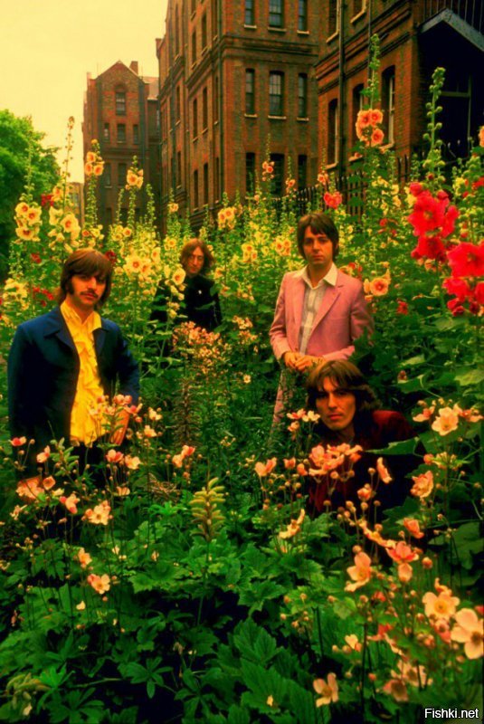 The Beatles, Лондон, 1968 год.