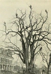 увидел это, наложил кирпичей