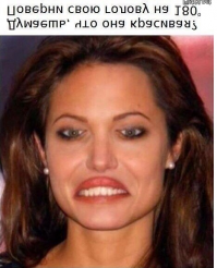 Смешные картинки с надписям