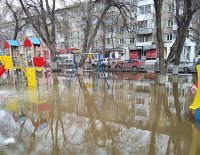 Прикольные и смешные картинки