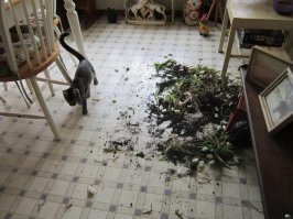 Да я просто рядом проходила...

.