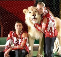 Мне одному кажется, что если бы лев мог говорить, то он бы сейчас кричал: "Помогите!"